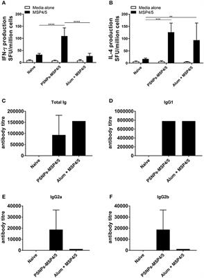 A Synthetic Nanoparticle Based Vaccine Approach Targeting MSP4/5 Is Immunogenic and Induces Moderate Protection Against Murine Blood-Stage Malaria